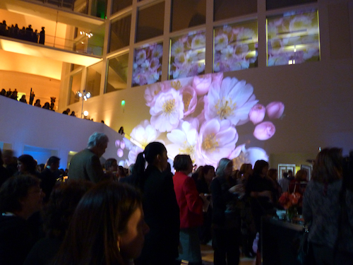 video installation