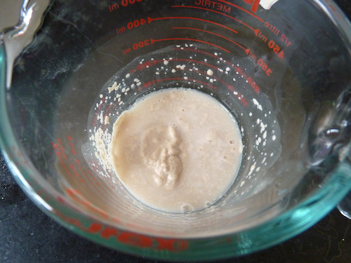 stir yeast into water