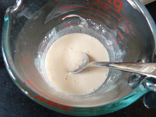 foamy activated yeast