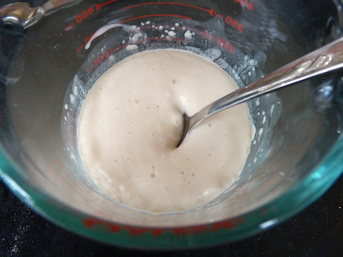 yeast feeding on sugar