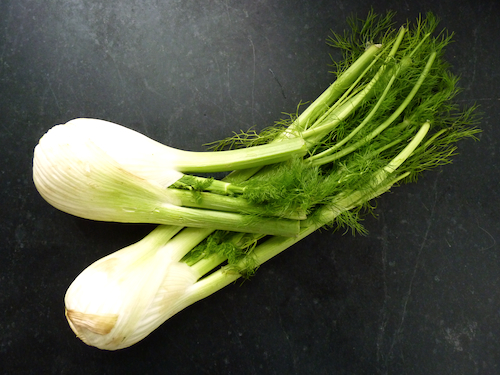 fennel