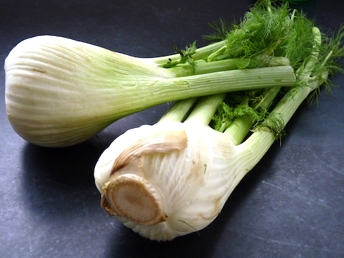 fennel bulbs
