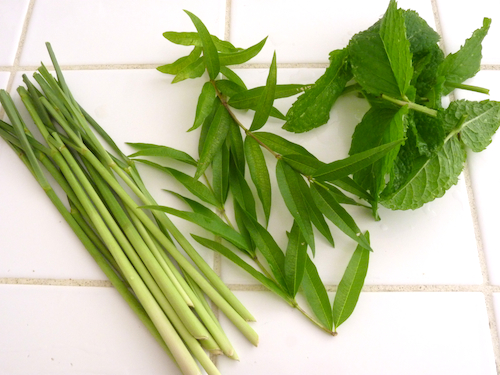 lemongrass lemon verbena mint