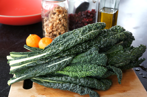 lacinato kale