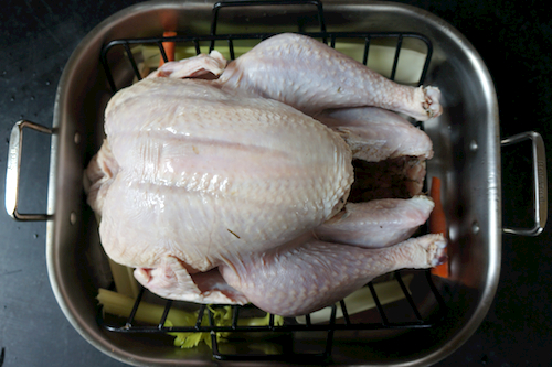thanksgiving turkey