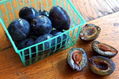 italian plum