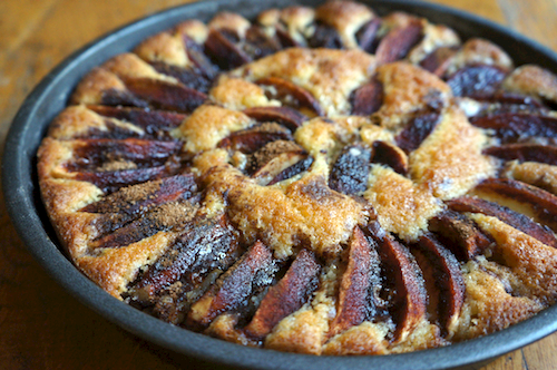 apple torte