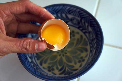 egg yolk